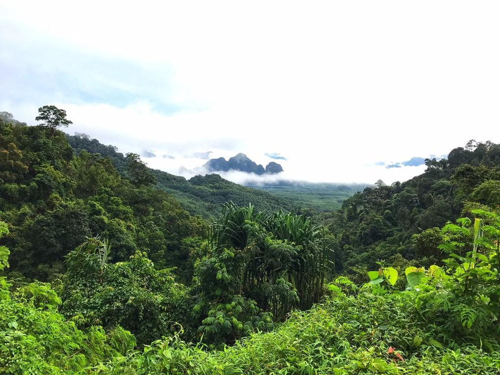 Khao Sok Homestay Resort Khao Sok National Park Zewnętrze zdjęcie