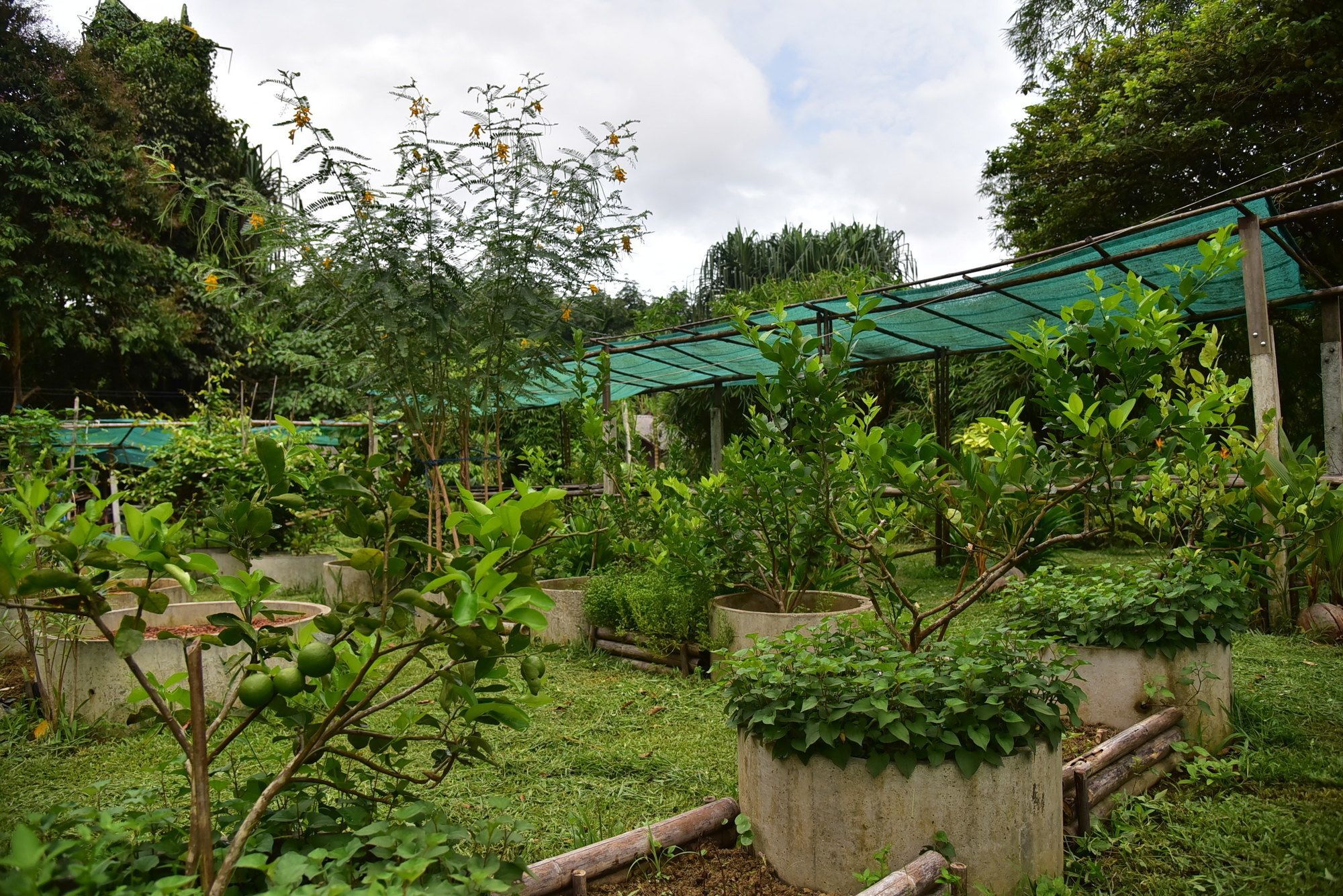 Khao Sok Homestay Resort Khao Sok National Park Zewnętrze zdjęcie