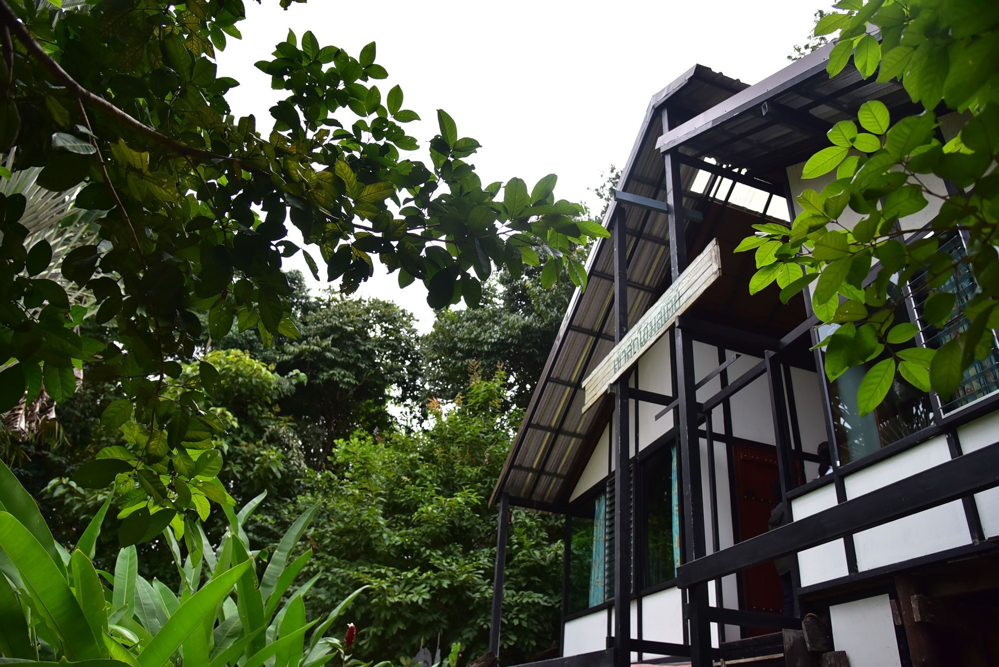 Khao Sok Homestay Resort Khao Sok National Park Zewnętrze zdjęcie