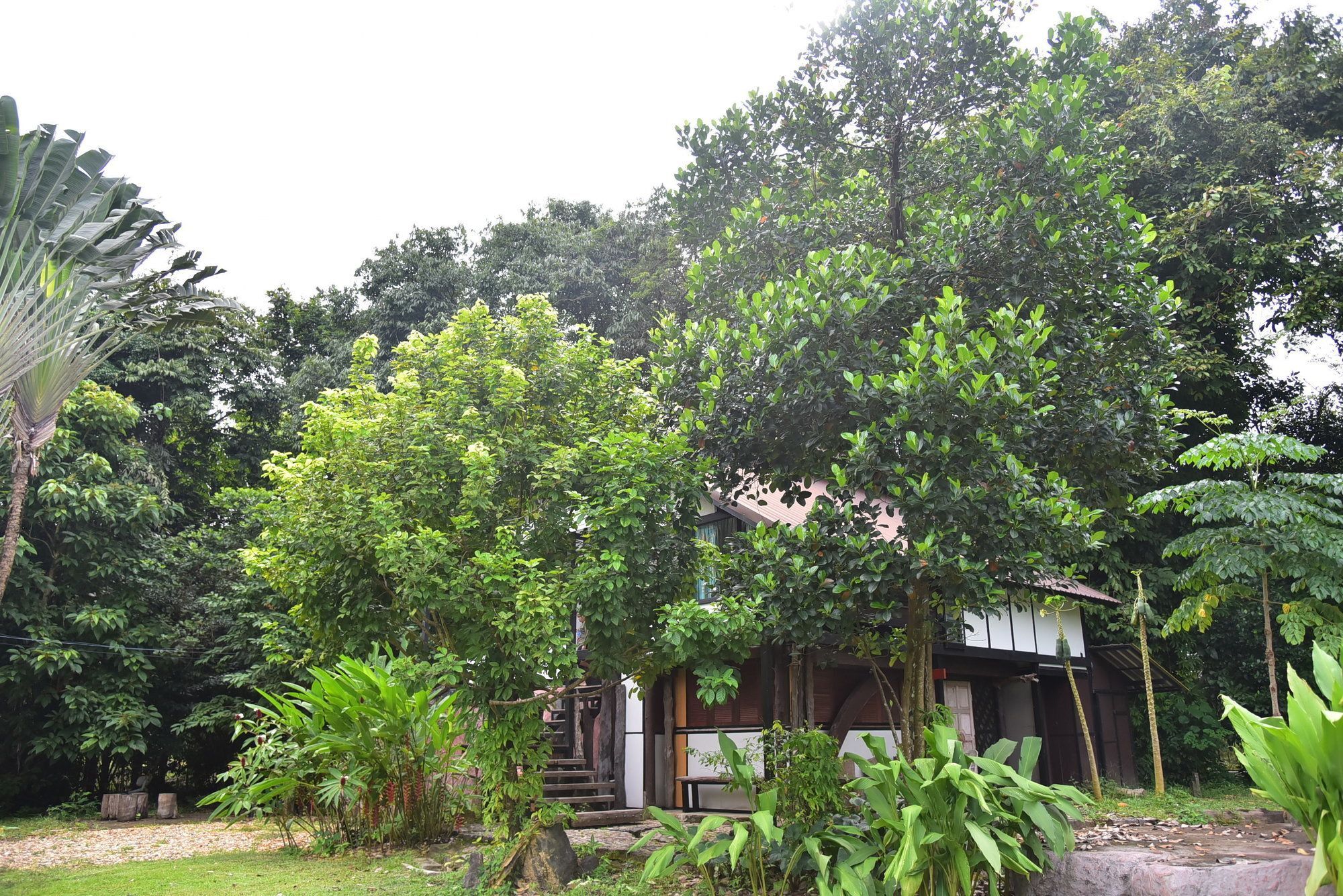 Khao Sok Homestay Resort Khao Sok National Park Zewnętrze zdjęcie
