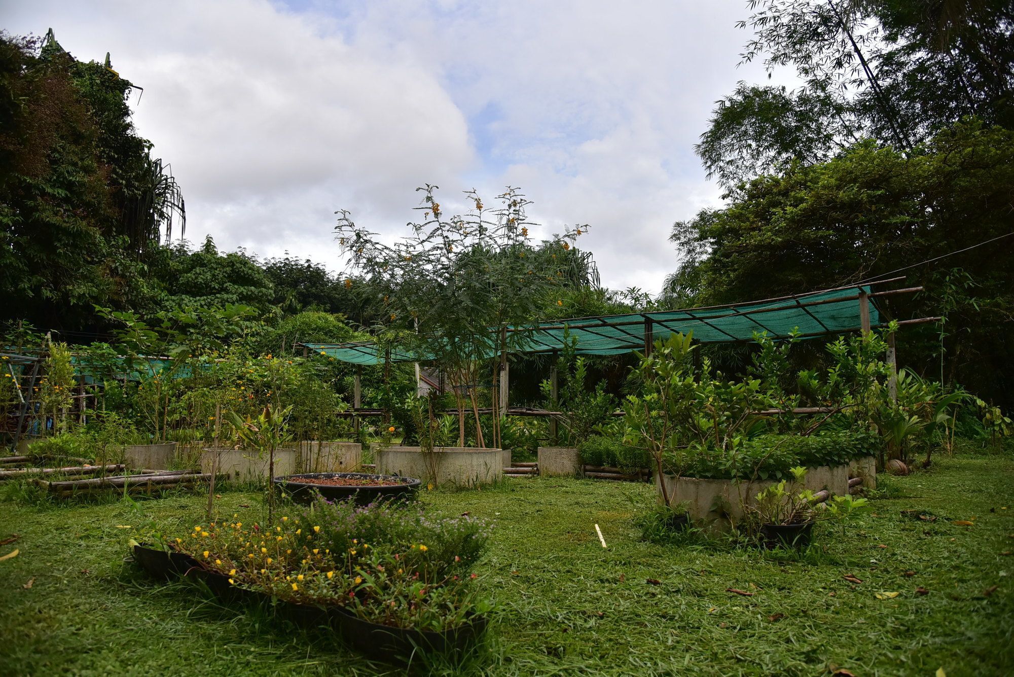 Khao Sok Homestay Resort Khao Sok National Park Zewnętrze zdjęcie